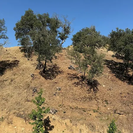 Вилла La Suberine A 20 Minutes De Collioure *