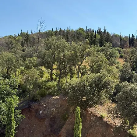 La Suberine A 20 Minutes De Collioure * Vives