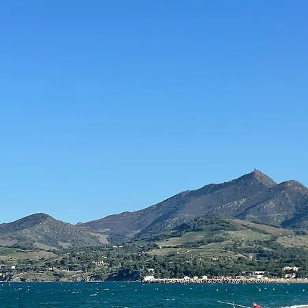 Вилла La Suberine A 20 Minutes De Collioure Vives