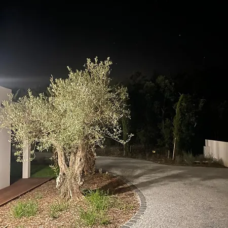 Villa La Suberine A 20 Minutes De Collioure *